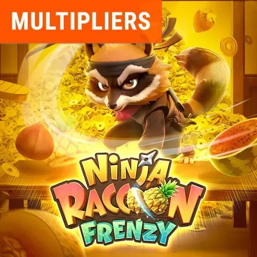 Ninja Raccoon Frenzy Game