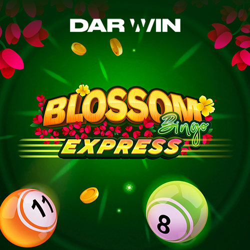 Blossom bingo express Game