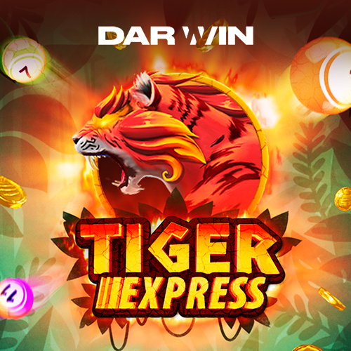 Tiger express Game