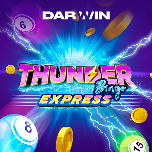 Thunder bingo express Game